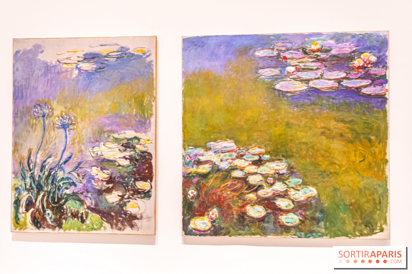 Exposition Monet - Mitchell Fondation Vuitton