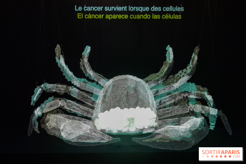 Cancers cité des sciences et de l'industrie