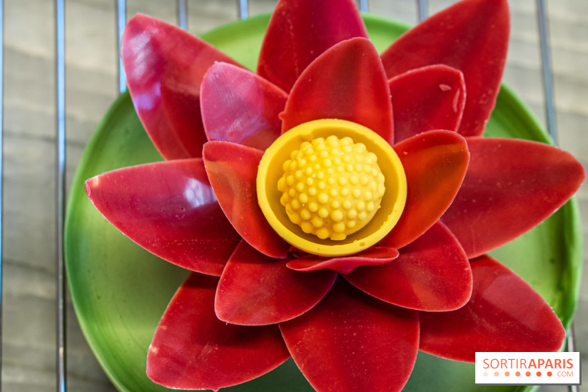 L'Éclair de Génie Café Paris - nénuphar framboise