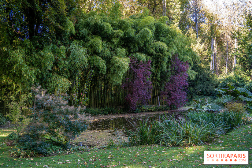 Le Jardin japonais du Château de Courances