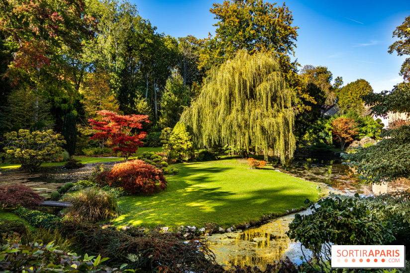 Le Jardin japonais du Château de Courances