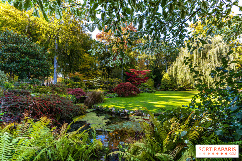 Le Jardin japonais du Château de Courances