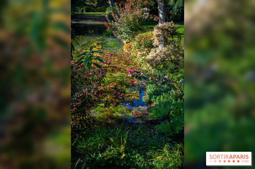 Le Jardin japonais du Château de Courances