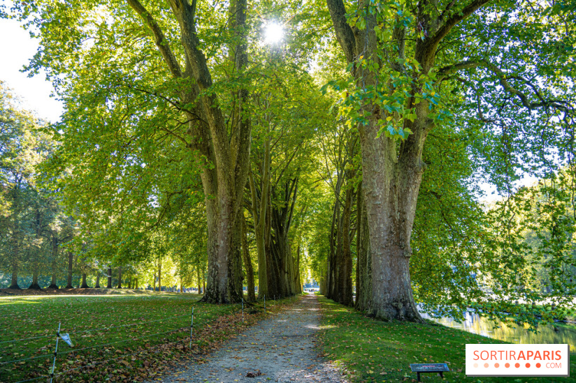 Parc et Domaine du Château de Courances
