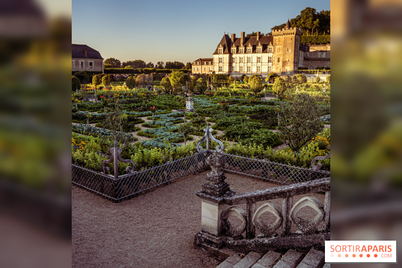 Le Château de Villandry et ses jardins