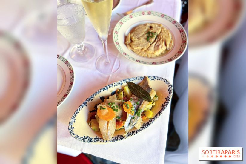 Restaurant Café Max - Hareng