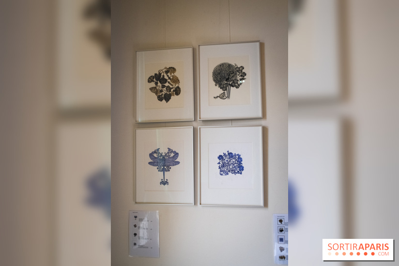 Demoiselle Nature, l'exposition de Michael Cailloux au Cercle Suédois