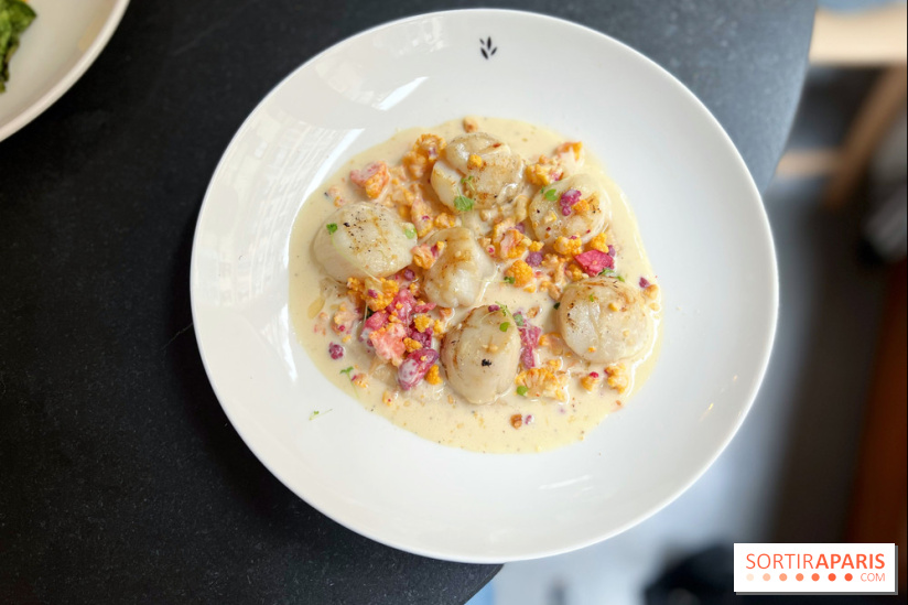 Restaurant Ardent - Saint-Jacques