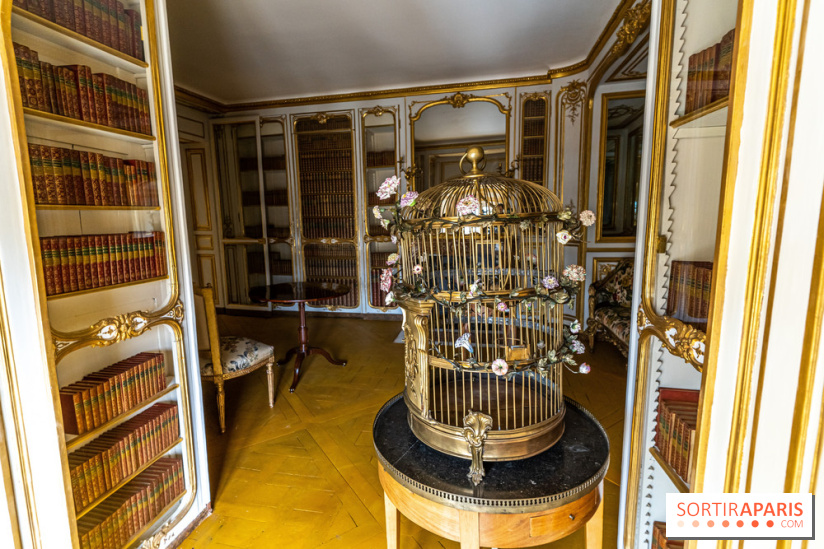 Les appartements de Madame Du Barry restaurés au Château de Versailles - bibliothèque