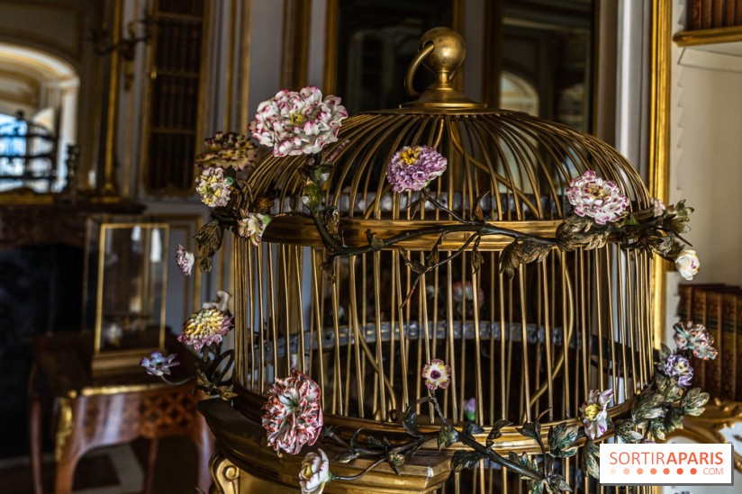 Les appartements de Madame Du Barry restaurés au Château de Versailles - bibliothèque