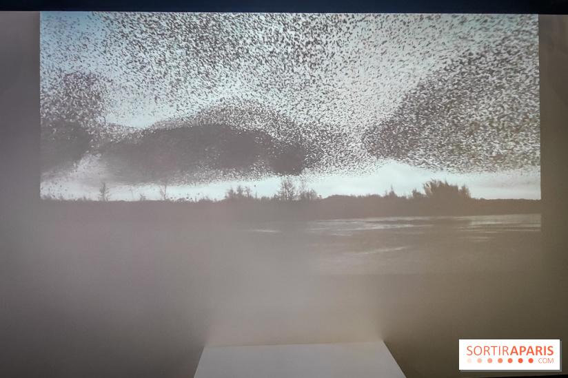 Foules, l'exposition interactive de la Cité des Sciences et de l'Industrie - nos photos