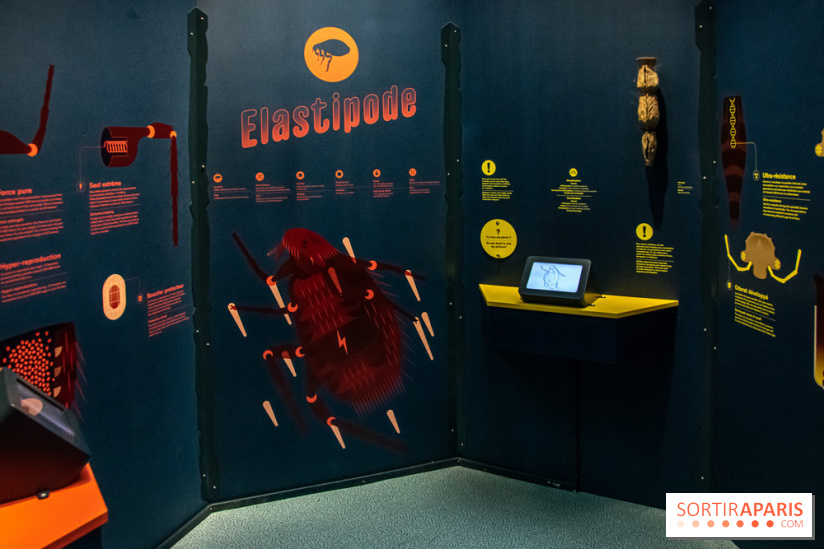 Mini-monstres, nos photos de l'exposition à la galerie de Géologie du Muséum d'Histoire naturelle