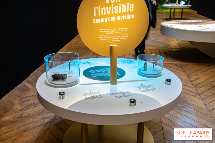 Mini-monstres, nos photos de l'exposition à la galerie de Géologie du Muséum d'Histoire naturelle