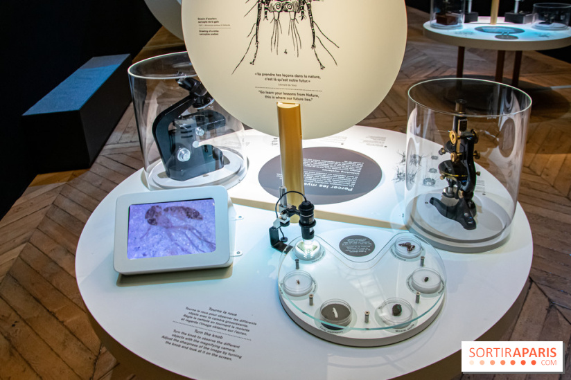 Mini-monstres, nos photos de l'exposition à la galerie de Géologie du Muséum d'Histoire naturelle