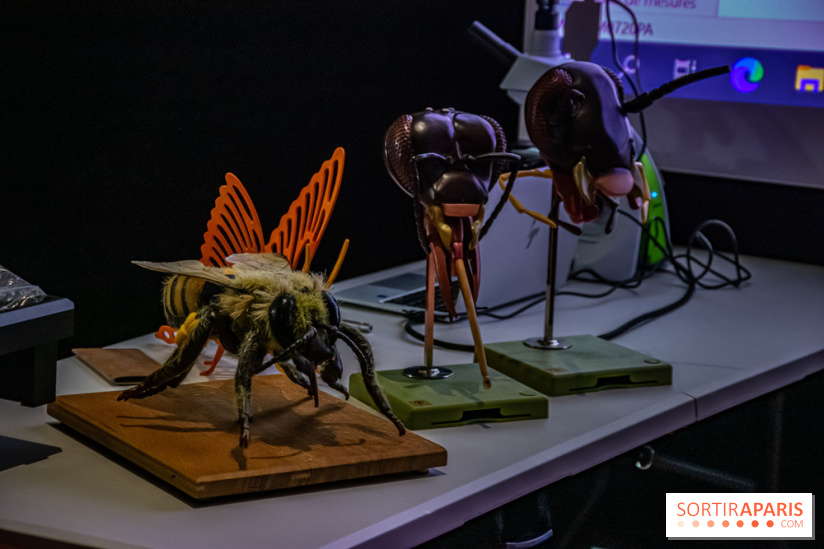 Mini-monstres, nos photos de l'exposition à la galerie de Géologie du Muséum d'Histoire naturelle