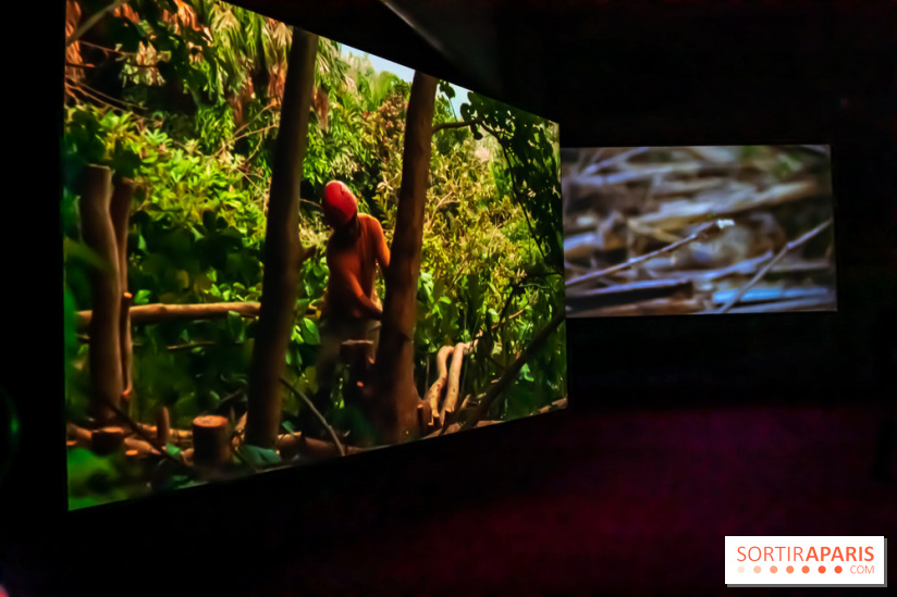 Exposition au Palais de Tokyo : Shéhérazade, la nuit - nos photos