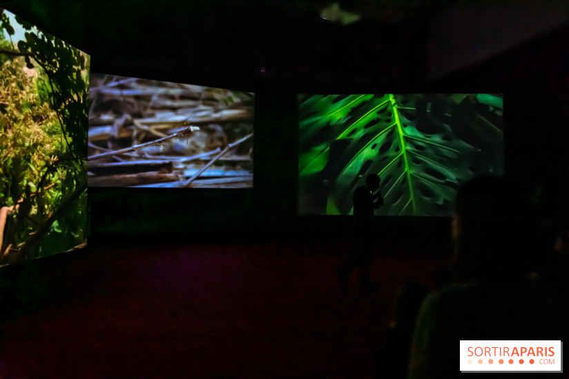 Exposition au Palais de Tokyo : Shéhérazade, la nuit - nos photos