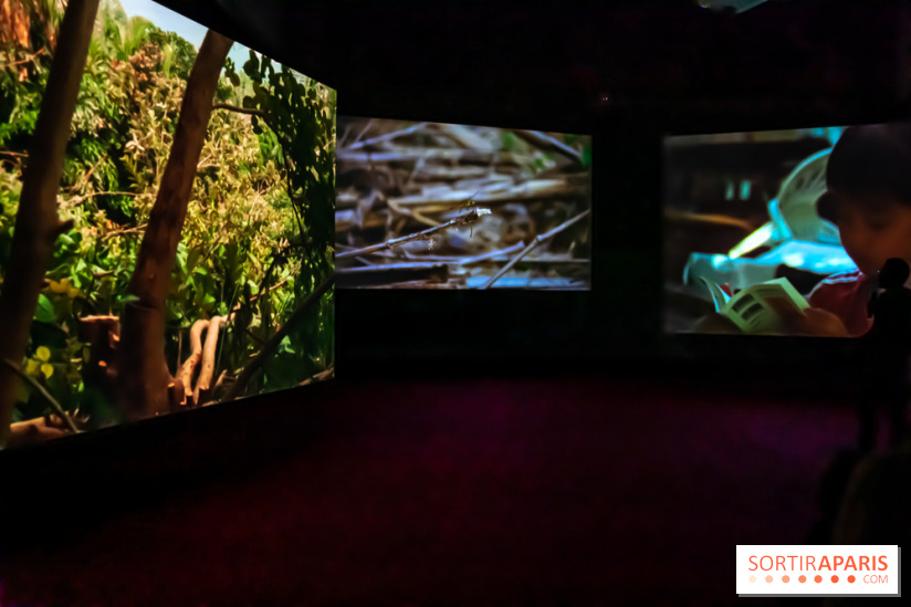 Exposition au Palais de Tokyo : Shéhérazade, la nuit - nos photos