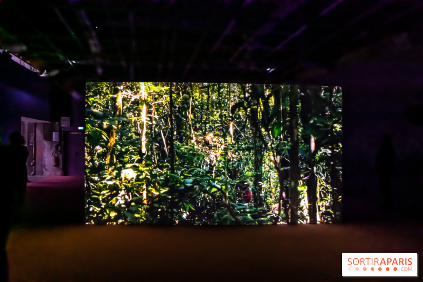Exposition au Palais de Tokyo : Shéhérazade, la nuit - nos photos