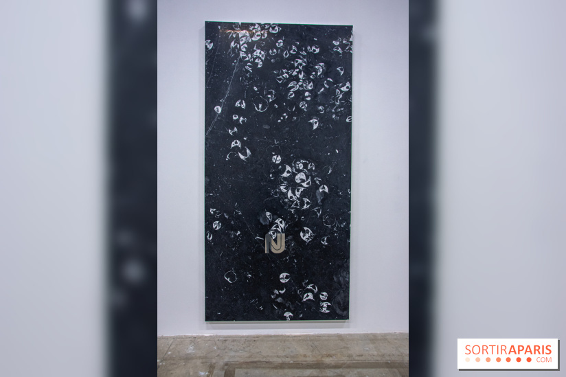 Exposition HUMPTY\DUMPTY au Palais de Tokyo et à Lafayette Anticipations - nos photos