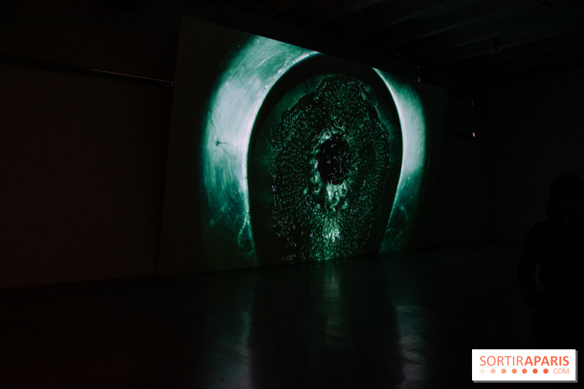 Exposition HUMPTY\DUMPTY au Palais de Tokyo et à Lafayette Anticipations - nos photos