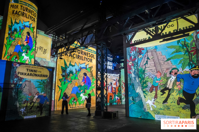 Tintin, l'aventure immersive à l'Atelier des Lumières : l'exposition insolite à vivre - nos photos