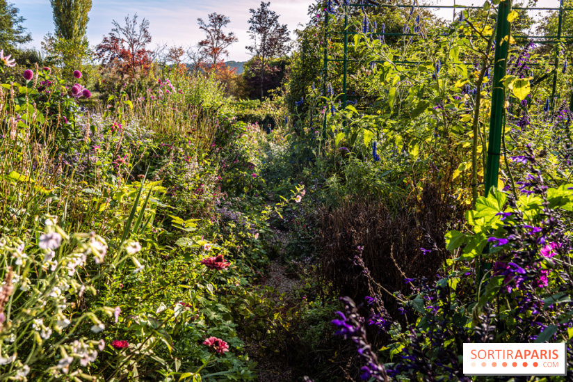 Les Jardins de la Maison Claude Monet à l'automne