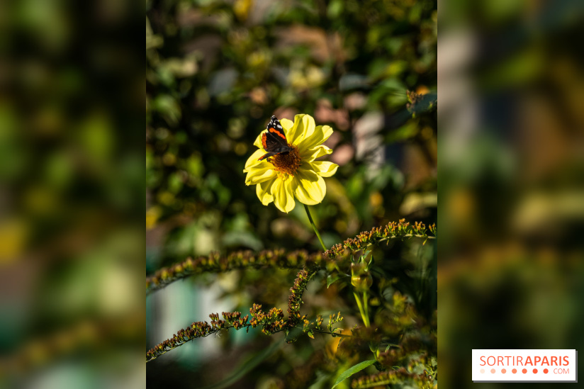 Les Jardins de la Maison Claude Monet à l'automne