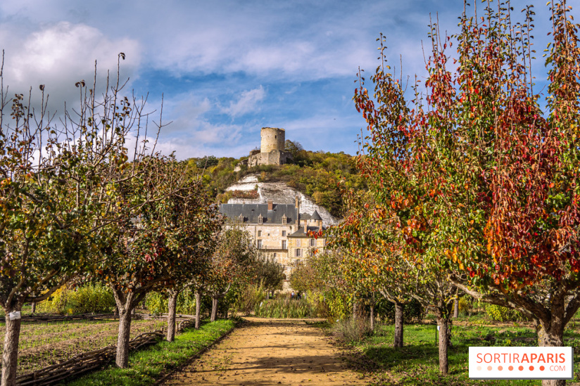 Château et potager de la Roche-Guyon