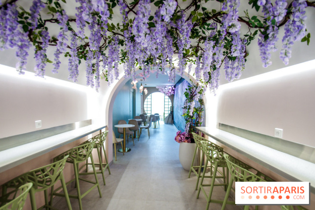 Hanami Tea Time, nos photos