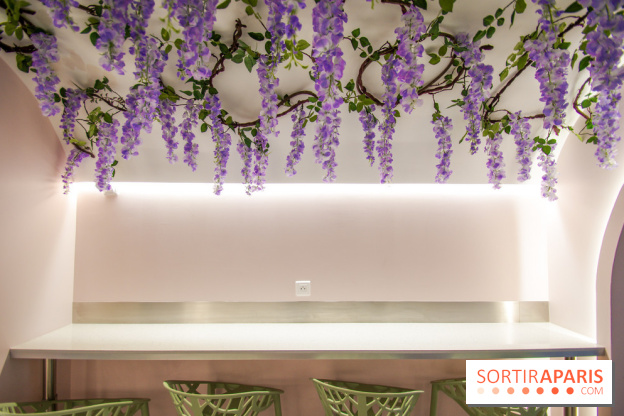 Hanami Tea Time, nos photos