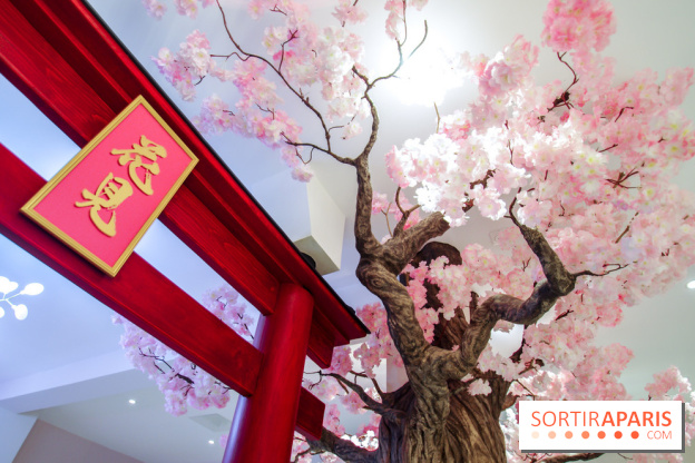 Hanami Tea Time, nos photos