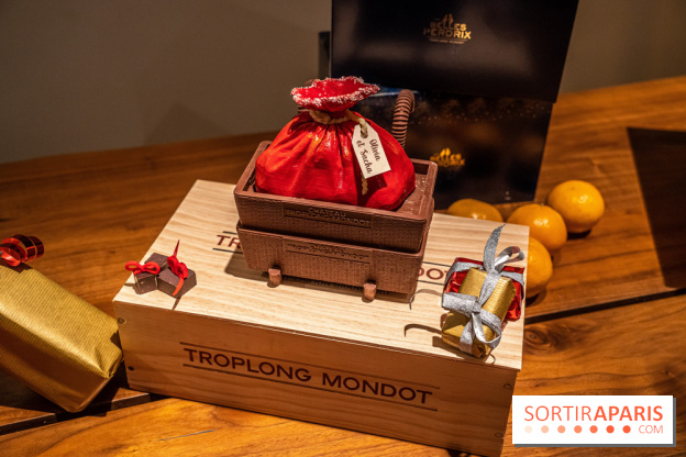 La Bûche de Noël d'Adrien Salavert aux Belles Perdrix de Troplong Mondot 2022 - hotte de vendanges du Père Noël