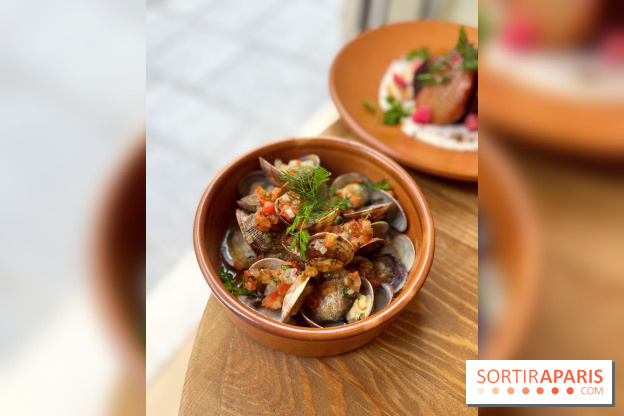 Restaurant méditerranéen Dune - Vongole