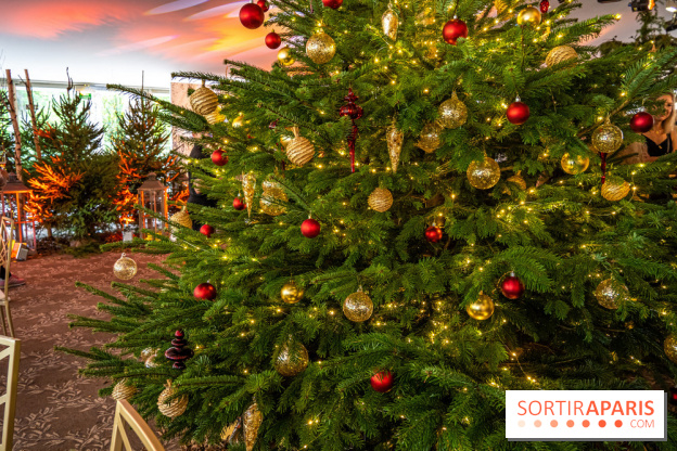 Visuels Noël - sapin