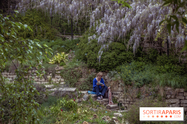 Le Jardin Alpin caché du Jardin des Plantes