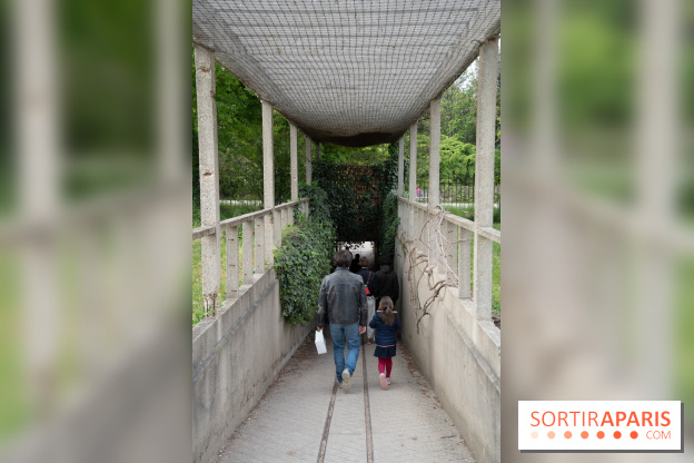 Le Jardin Alpin caché du Jardin des Plantes