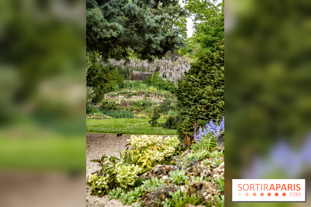 Le Jardin Alpin caché du Jardin des Plantes