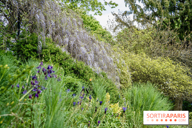 Le Jardin Alpin caché du Jardin des Plantes
