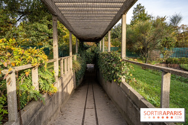 Le Jardin Alpin caché du Jardin des Plantes