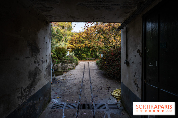 Le Jardin Alpin caché du Jardin des Plantes