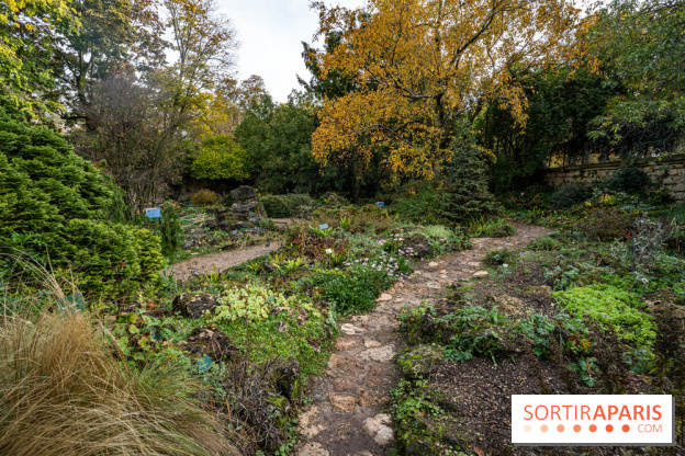 Le Jardin Alpin caché du Jardin des Plantes