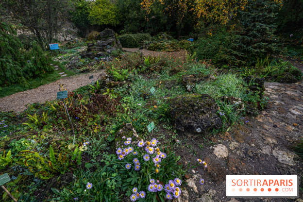 Le Jardin Alpin caché du Jardin des Plantes