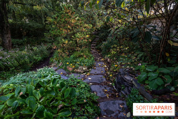Le Jardin Alpin caché du Jardin des Plantes