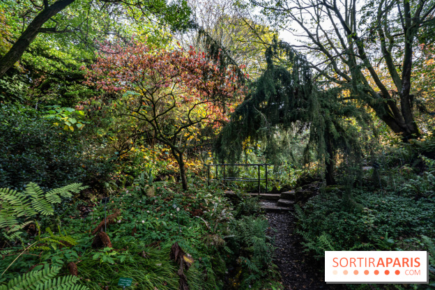Le Jardin Alpin caché du Jardin des Plantes
