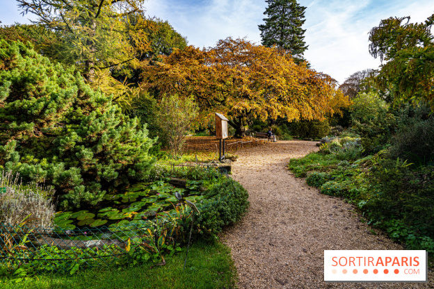 Le Jardin Alpin caché du Jardin des Plantes