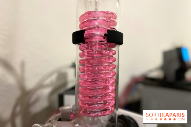 Atelier création de gin à la distillerie Baccae