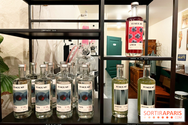 Atelier création de gin à la distillerie Baccae