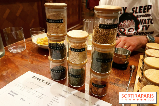 Atelier création de gin à la distillerie Baccae