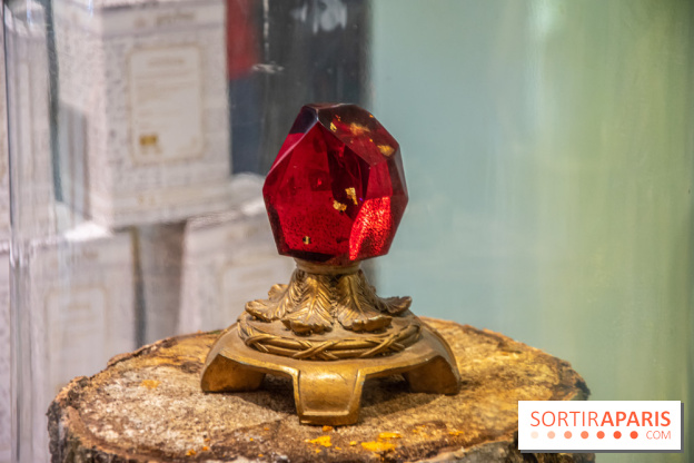 Harry Potter : nos photos du pop-up store Arribas, spécialisé dans le verre, sur les Champs-Elysées